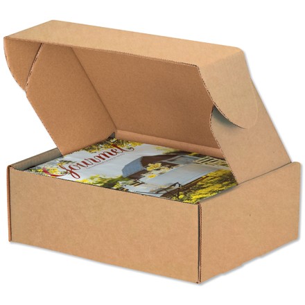 11 1/8" x 8 3/4" x 4" Kraft Deluxe Literature Mailer