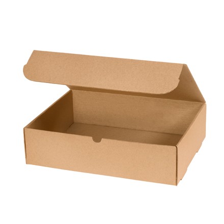 15 1/8" x 11 1/8" x 4" Kraft Literature Mailers