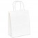 8" x 4 1/2" x 10 1/4" White Paper Shopping Bags