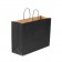 16" x 6" x 12" Black Tinted Shopping Bags